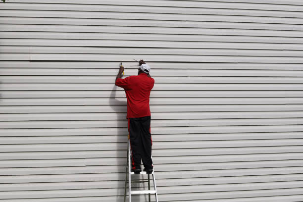 Affordable Siding Repair and Maintenance Services in Chester, WV