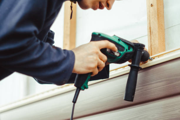 Best Custom Trim and Detailing for Siding  in Chester, WV